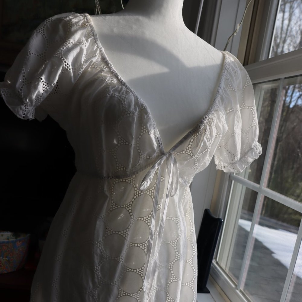 Stevie Nicks style sheer dress